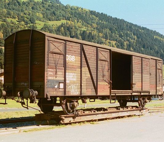 Tipologie di carri merce 885 0 Carro Merci